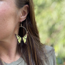 Swallowtail Butterfly Remix Hoops